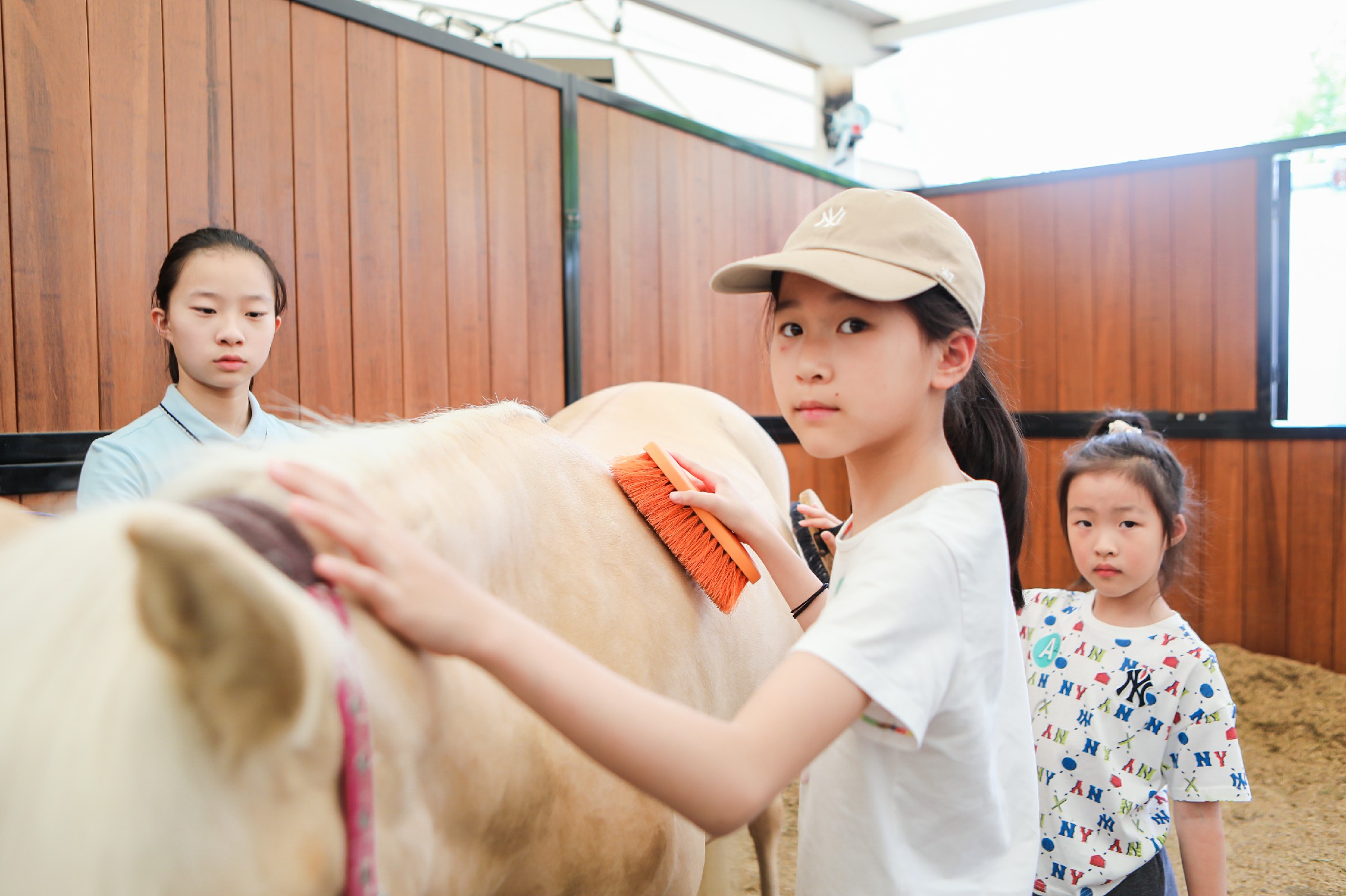 1688368438508175.jpg CF1A2608~1.jpg